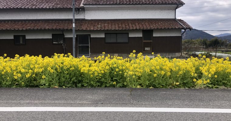 定休日のお知らせ